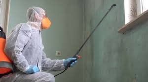 Mold Odor Removal Services in East Los Angeles, CA